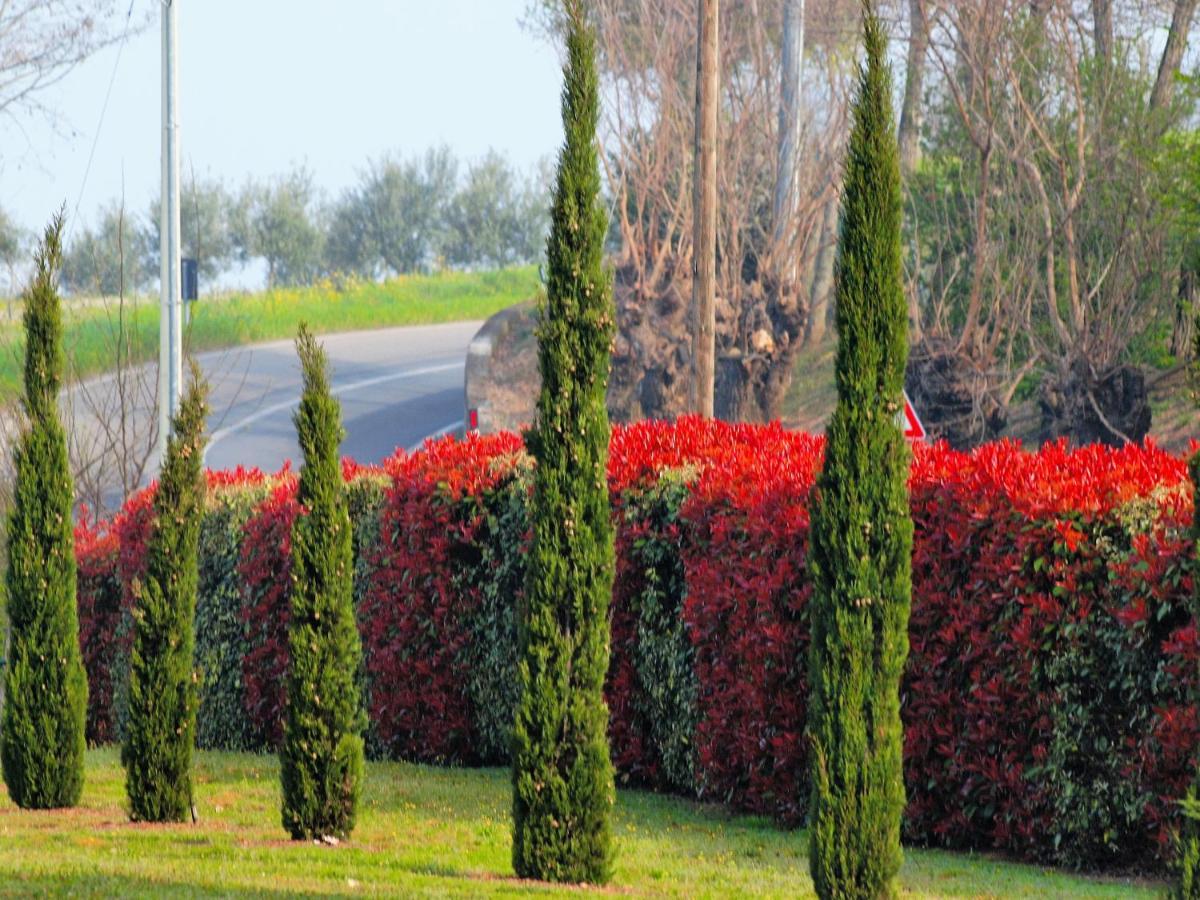 La Colombara - Fra I Colli A 5 Minuti Dall'Autodromo Imola Exteriör bild