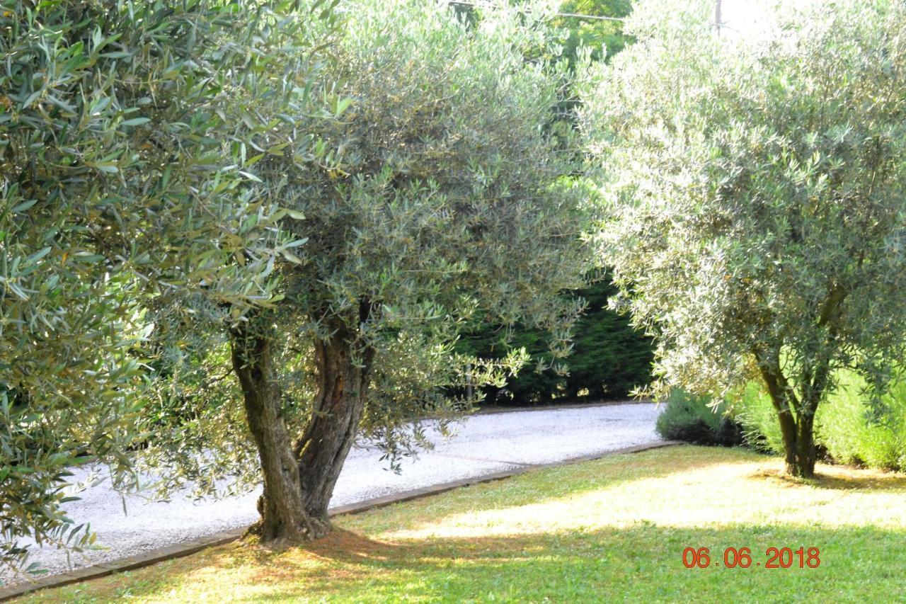 La Colombara - Fra I Colli A 5 Minuti Dall'Autodromo Imola Exteriör bild